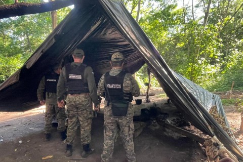 Destruyen más de tres toneladas de marihuana durante operativo antidrogas en la frontera